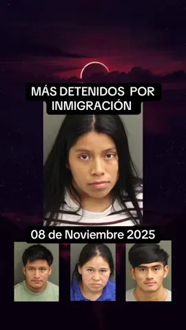 #ice #florida #viral #inmigrantes #tennessee  más detenidos por lCE en las últimas 24 horas 