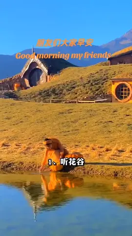 #fy #promoseruweekend #view #mandaringsong 