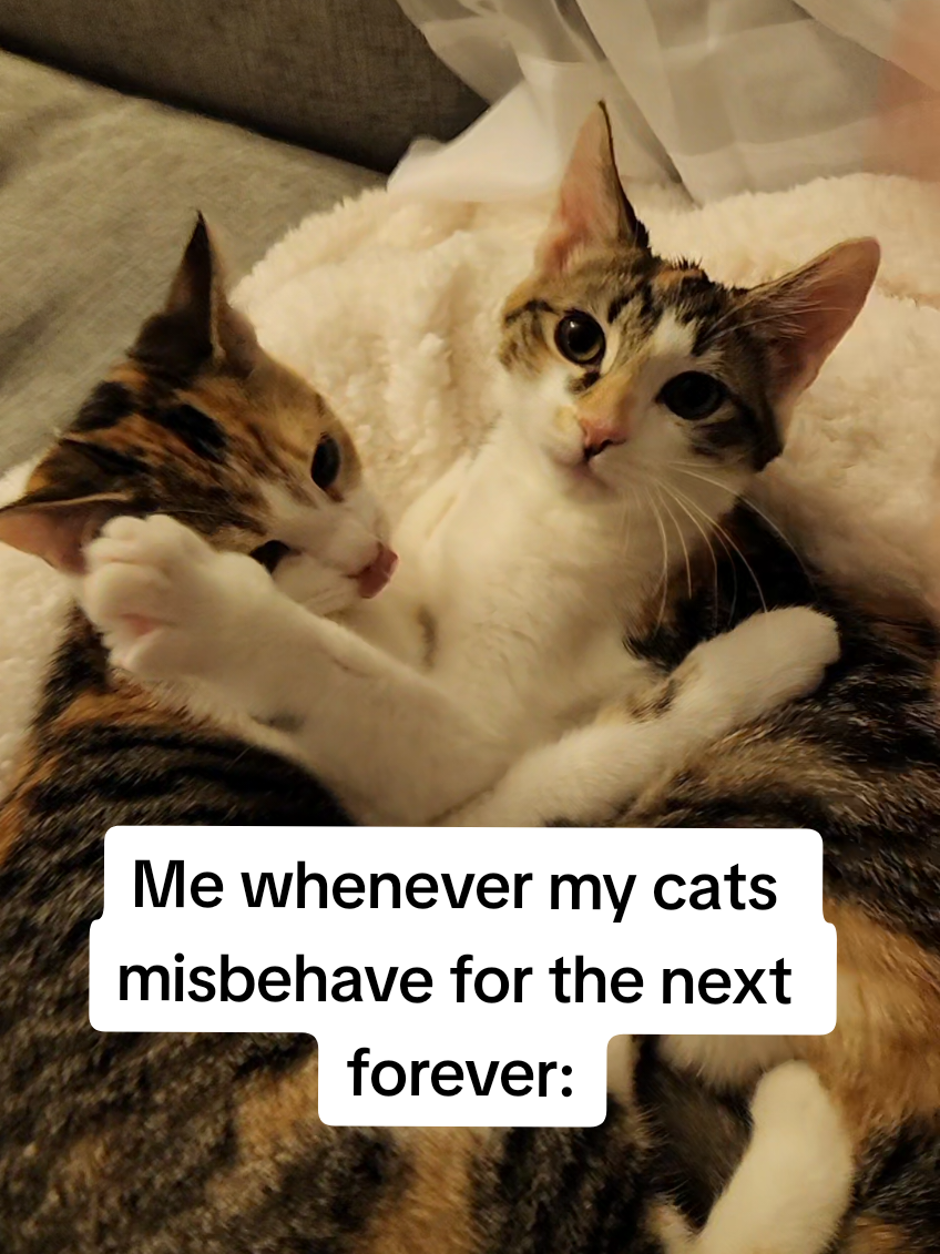 Mimzy & Piper's souls are ours 😈 @Bluemoon🍉 