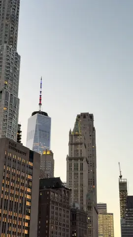 Right mantri 🇺🇸✈️💪🏻#usa #foryou #viralvideo #creatorsearchinsight #newmusic 