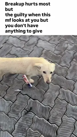 🥲 . . #real #relateable #explore #goviral #fyp 