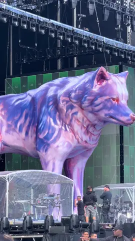 La lobita haciend pruebas #shakiraenecuador #lasmujeresyanolloran #shakira #colombia #viralvideo 