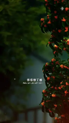 Nếu em đã kết hôn rồi..! #BKmuzic 