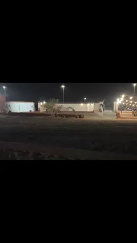 سلطااااان قلبيييي 🔥🔥🔥 #خيل #خيل_وخياله🐎 #مربط_الفارس_الادهم #حايل #سلطاني 