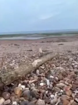 #Meme #MemeCut #CapCut 