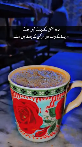 حدود عشق کے پیمانے نہیں ہوتے  جو چائے کے دیوانے ہوں،وہ ہر کسی کے دیوانے نہیں ہوتے #Fypp #fypviralシ #mianwaliyan #plzunfrezemyaccount #foryoupageofficiall niazi333