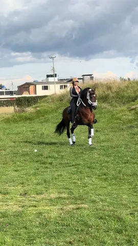 #caballosbailadores #caballostiktok #viraltiktok #paratiiiiiiiiiiiiiiiiiiiiiiiiiiiiiii #cabalgatas 