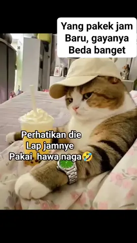 Aura Mandor nya Kuat Banget #kucing #fyp #viral #tiktok #funny 
