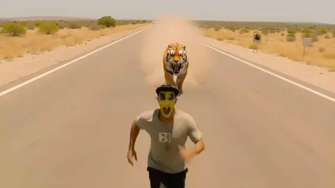 #الشعب_الصيني_ماله_حل😂😂 #creatorsearchinsights 