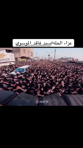 #عزاء_الحله #سيد_فاقد_الموسوي #علي_نائل #تشيع_الحسن_المجتبئ 
