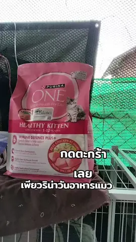 #อาหารแมว 
