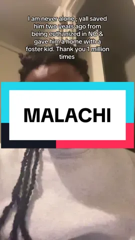 In a year, I will be creating a #animalsanctuary & #homelesspeople sanctuary when none feel abandoned. Mark my words #thecosmopolitan2_ 