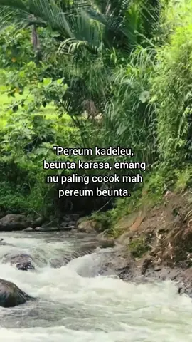 ,, #storysunda #katakatasunda 