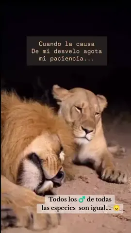 #a que si... 😄🤭