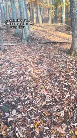 Where are you hoě#trending #hunting #fyppppppppppppppppppppppp #fyp #nature 