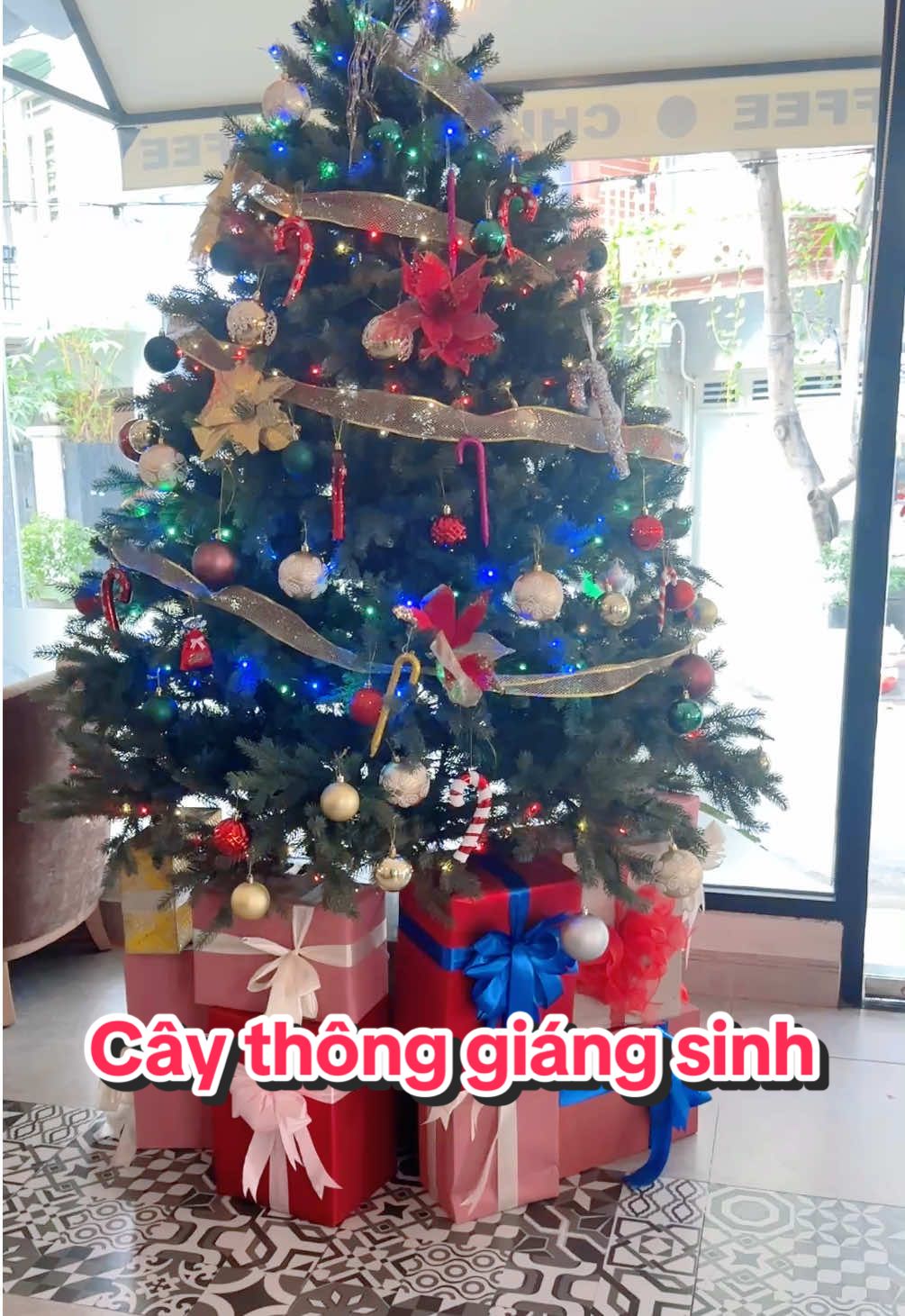 Cây thông trang trí Giáng Sinh – mang không khí lễ hội tràn ngập ngôi nhà bạn. Thiết kế tươi xanh, dễ lắp đặt, kết hợp đèn và phụ kiện trang trí rực rỡ. #caythongnoel #trangtrinoel #giangsinh2025 #doTrangTri #noel   