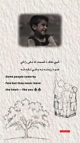 وليګه ورته #sofa #room #islamic_video #creatorsearchinsights #afghanpeoetry 