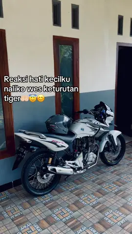 alhamdulillah ya allah🥰#tigerNWP #tigergank🤙 #fyp #4u #cinematik 