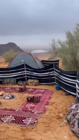 #ماشاءالله #راف 