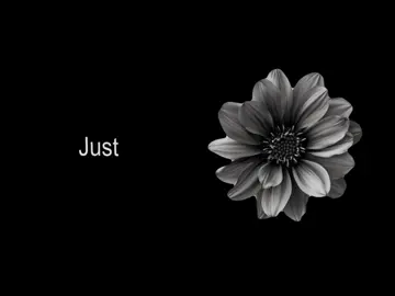 Just like the wind// #furacao2000 #neverszx #lyricsvideo #foryou #lyrics 