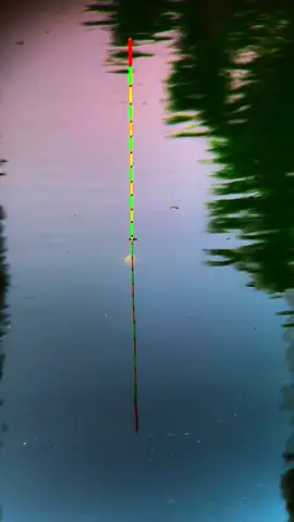 Lại một ngày mới đến rồi ngày kowis các cần ghủ như nào rồi#cauca #caucagiaitri #caucafisshing #xuhuong #xuhuongtiktok 