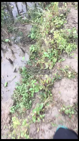 Hm🙁#xhhhhhhhhhhhhhhhhhhhhhhh #vairal_video_tiktok 