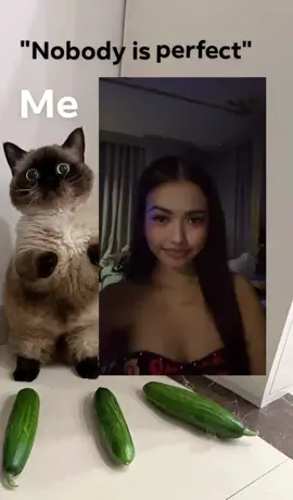 #ខ្ញុំសុំដកខ្លួនចេញហើ😵‍💫#foryou#follower 