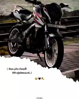 මගෙ දවස එනකම් ඉවසල ඉන්න.. 😾💊 #creatorsearchinsights #foryoupage #onemillionaudition #fyp #fypviralシ 