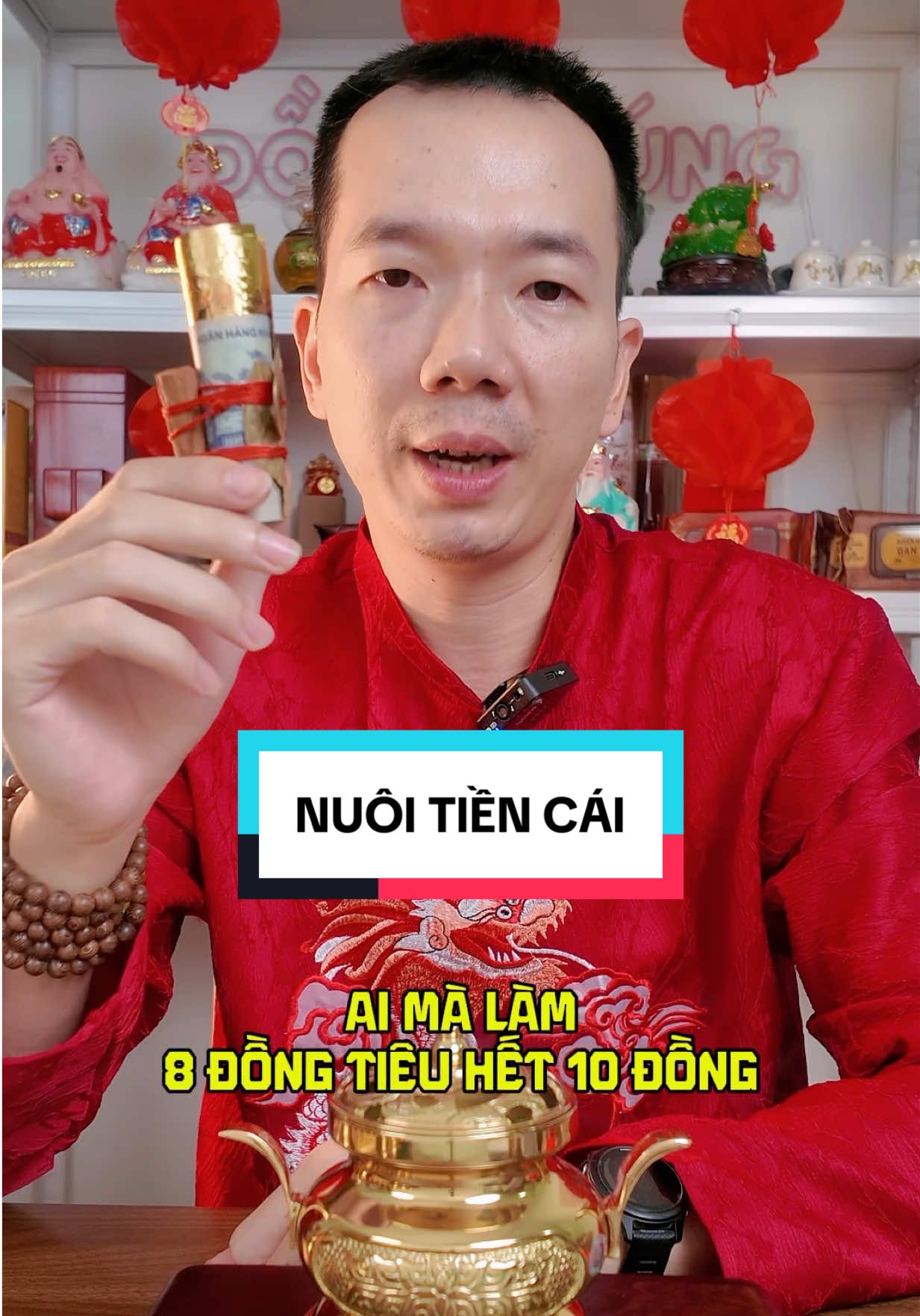 Mẹo nuôi tiền cái vía giữ tiền #meonuoitiencai #meogiutien #languyetque #bonguloc6mon #phongthuycaivan 