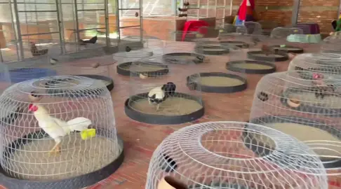 Lâu rồi mới được một ngày nắng đẹp...!