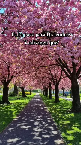 #21dediciembre 🎄✨🎄 #cumpleaños 🎂👸🏻✨ #girl 🌷🩷 #tiktok ✨