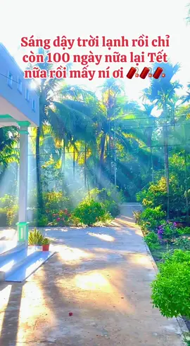 100 ngày đếm ngược mấy ní ơi nôn Tết thì về quê như tui này mấy ní về không khi trong lành , se lạnh nó đã gì đâu 🧨🧨🧨#tết2026 #tetdoanvien2026 #tetvietnam #sumhopgiadinh #xuhuongtiktok 