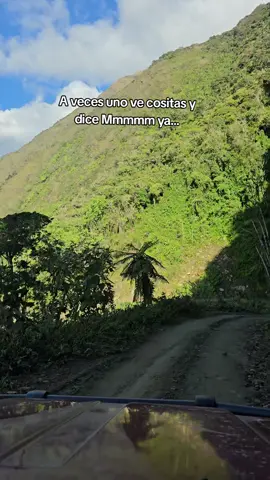 🤪 #paratiiiiiiiiiiiiiiiiiiiiiiiiiiiiiii #frases #rodrigotapari #tiktok #fyp 