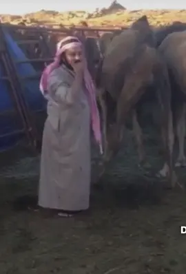 #السعوديه #السعودية🇸🇦 #fyp #viral #explore  @Kareem abdel Azeez 