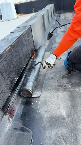 #fyp#capcut#funny#trending#