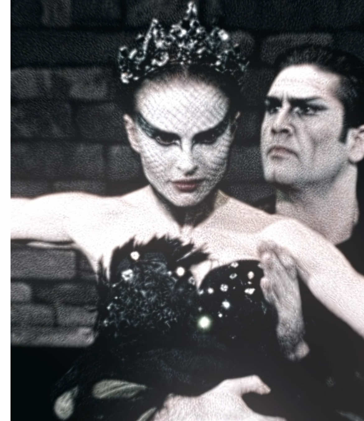 Mimosa. #blackswan #ninablackswan #aura #edit 