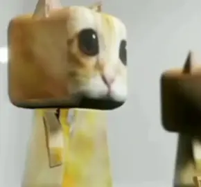 TUKI TUKI TUKITA 🗣️🔥❄️.                    #catcut #navidad #tukitukitukita #catsdancing #gatos 