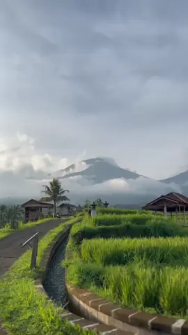 Senjaaa di #jatiluwih #bali #viral #vibes #fyp 