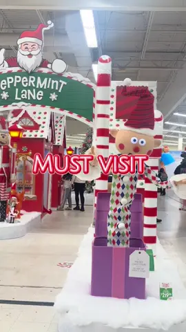 Spirit Christmas is now open! #holiday #spiritchristmas #massachusetts #christmasstore #thingstodomassachusetts #foryou 