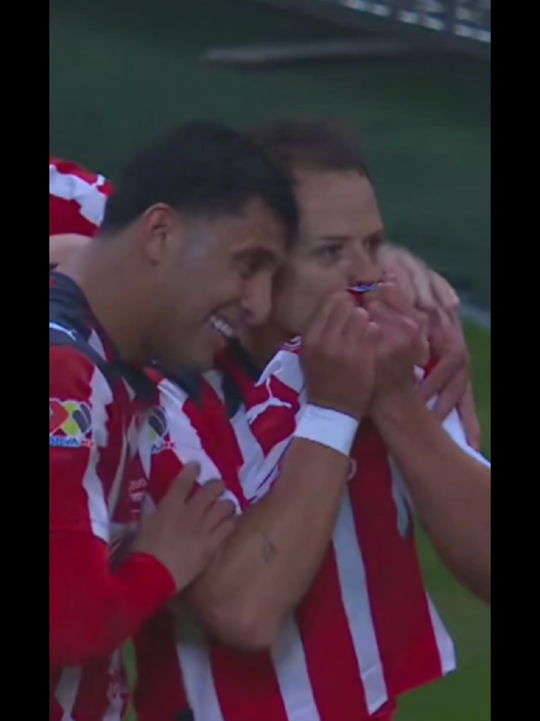 Tqm Chicharito. #chivas#chicharito#ligamx#gol