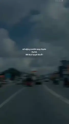 • හැමදාටම ඒ ආදරෙ තියෙවි 🫶🏻