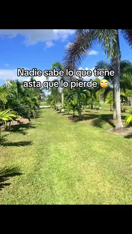 Nadie sabe lo que tiene asta que lo pierde #paratiiiiiiiiiiiiiiiiiiiiiiiiiiiiiii #yes 