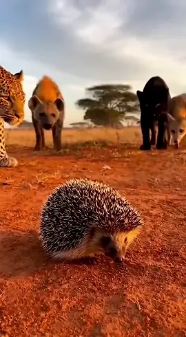 #foryoupage #fyppppppppppppppppppppppp #waqas_kutwaal #ai #1million 