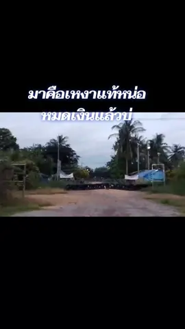 ไม่มีเงินแล้วเหงาเลยไม่มีอะไรให้เล่นเลย #นักรบชุดดํา  #เทรนด์วันนี้  #แต่ถึงรบไม่ขลาด  #เอาขึ้นหน้าฟีดที 