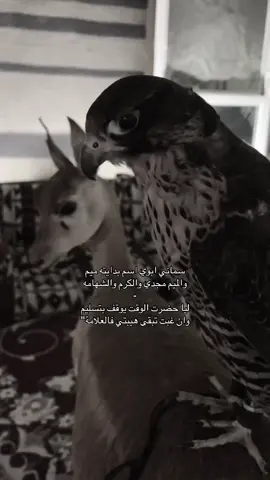 #explore #fyp #foryou #exploreاكسبلورررر 