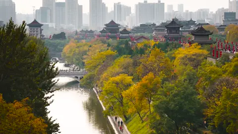 Chúng ta từng hứa đi hết thanh xuân cùng nhau, nhưng không ai nói thanh xuân lại ngắn đến vậy. 📍thành Tây An, tỉnh Thiểm Tây #tinhyeu #khoanhkhackhiyeu #canhdeptrunghoa #trunghoa 