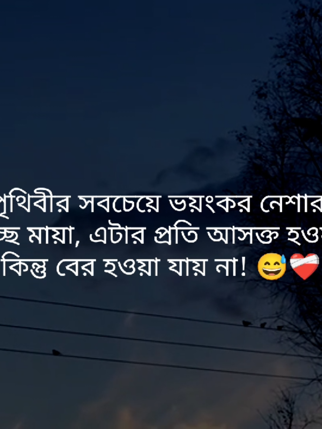 পৃথিবীর সবচেয়ে ভয়ংকর নেশার  নাম হচ্ছে মায়া, এটার প্রতি আসক্ত হওয়া যায় কিন্তু বের হওয়া যায় না! 😅❤️‍🩹#fypシ゚ #foryou #status #tibro_002 #unfrezzmyaccount 