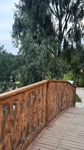 المشكلة ليست في أنه ماعاد بدري ‏المشكلة انك تدري ان العمر…مره! #الباحة_الجنوب  #الجنوب #الباحة_الآن  #حديقة_الامير_حسام   #باحة_تعالي_للضباب 