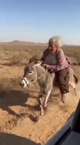 🐎 👵
