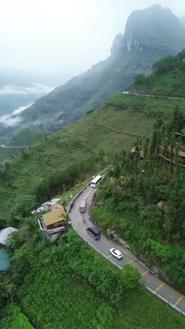 “ Đã vào mùa hoa Tam giác mạch”…#xuhuong #xuhuongtiktok #vietnamtoiyeu #mapileng #songnhoque 